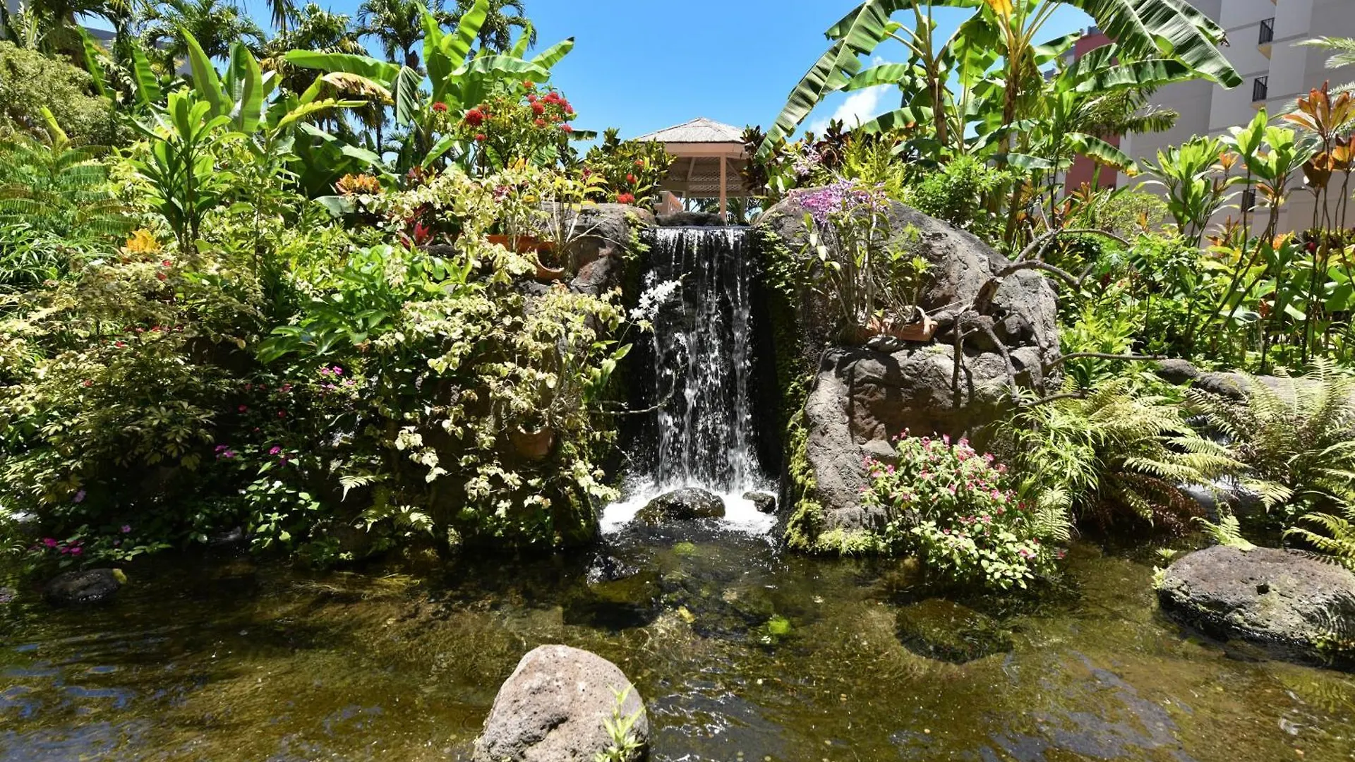 Appartement Kaanapali Shores 160 Kahana