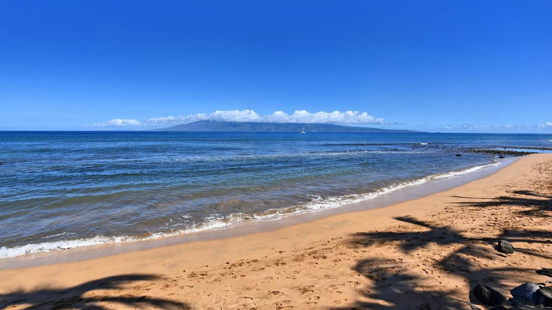 Kaanapali Shores 160 Kahana