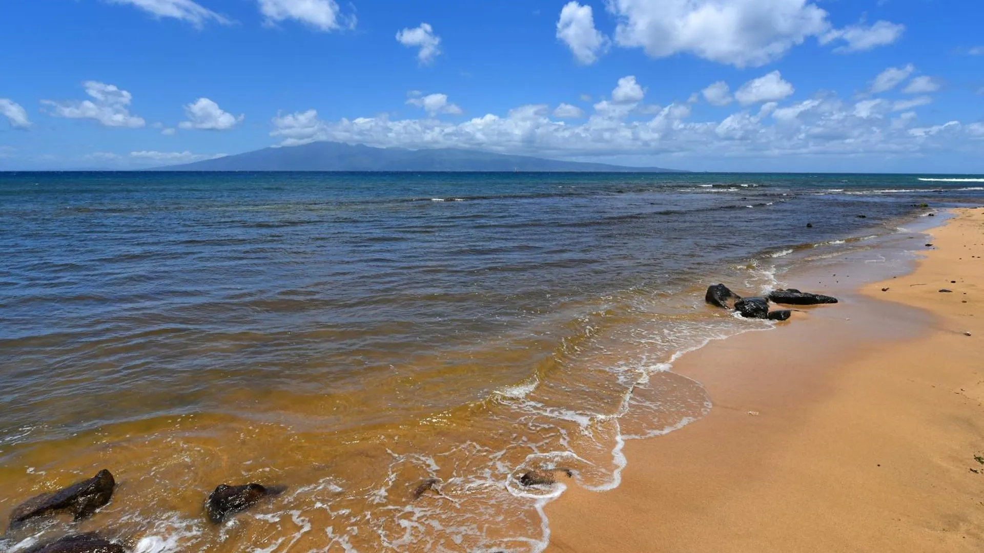 Lejlighed Kaanapali Shores 160 Kahana