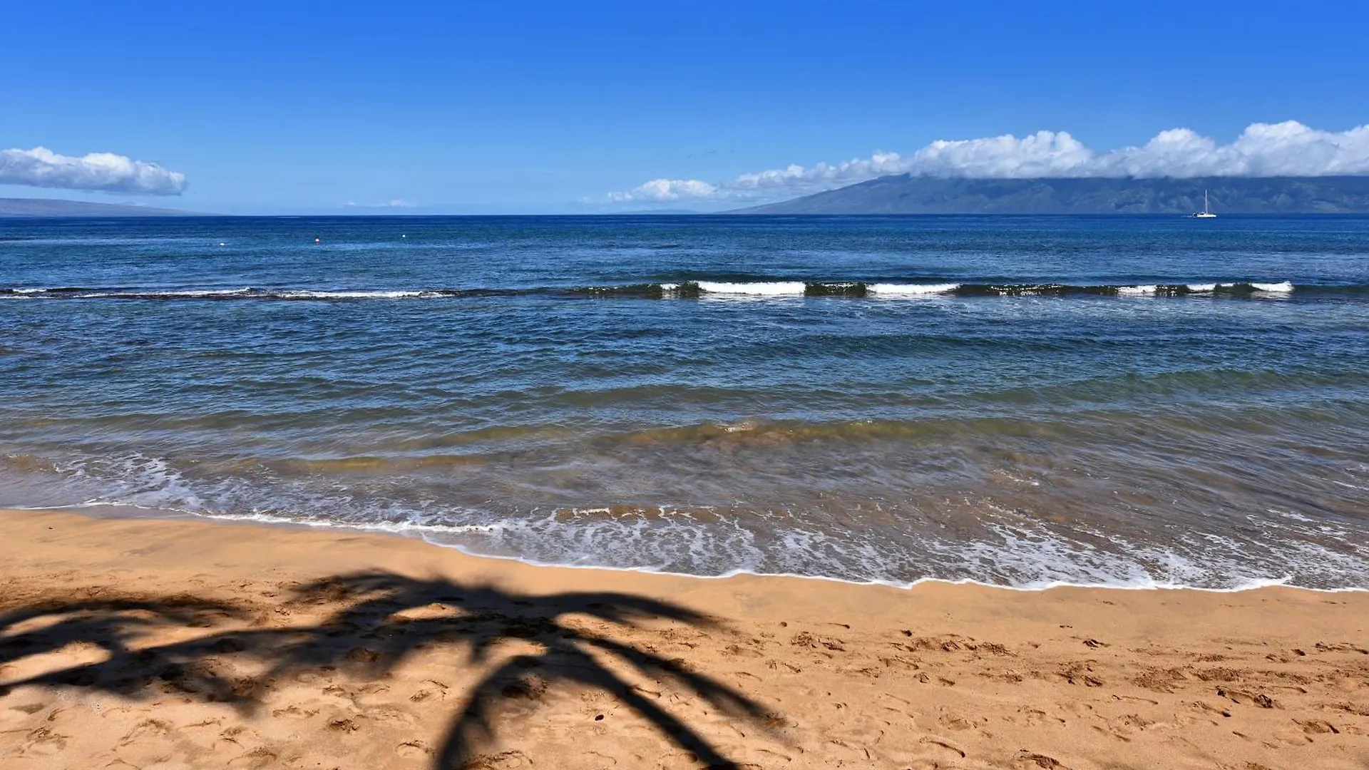 Kaanapali Shores 160 Kahana Lejlighed