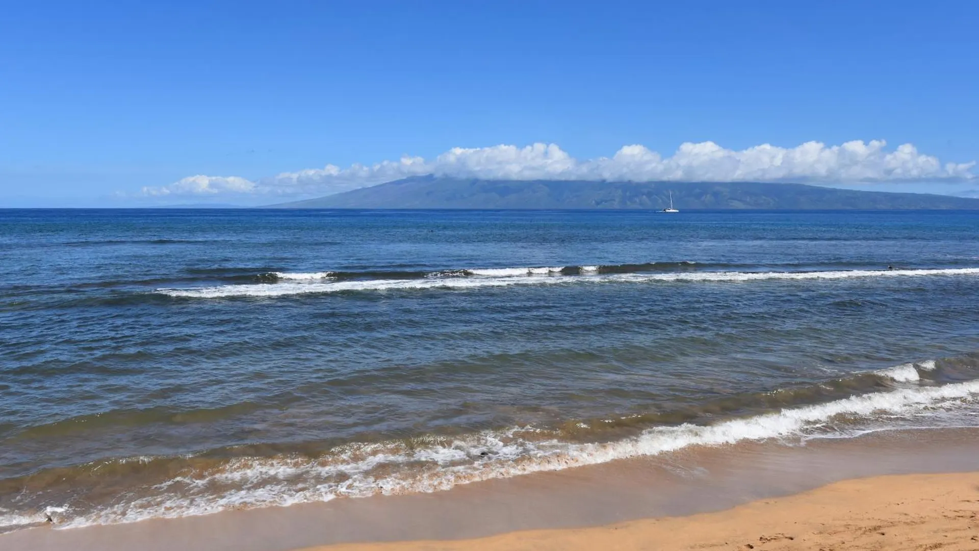 Kaanapali Shores 160 Kahana Lejlighed